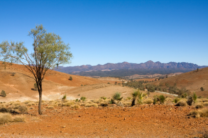 Wilpena Pound in the Flinders Ranges Australia