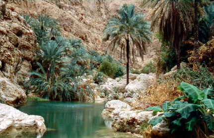 Wadi Shab, Oman Holiday in Oman