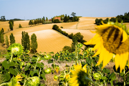 Cooking school in Gasgony region, France