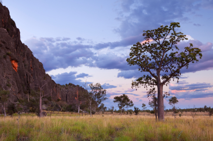 Cross the Kimberley and see Windjana Gorge with Concierge Traveller