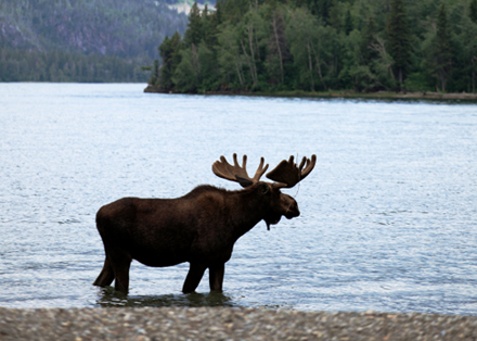 Visit Canada with Concierge Traveller