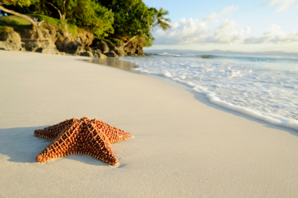 Holiday in the Dominican Republic