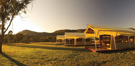 Spicers Group
