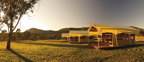 Spicers Group