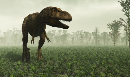 Visit Dinosaur parks