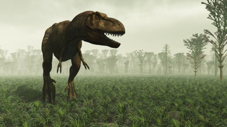 Visit Dinosaur parks