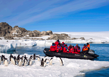 Cruise to Antarctica with Orion