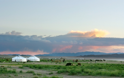 Mongolian landscape